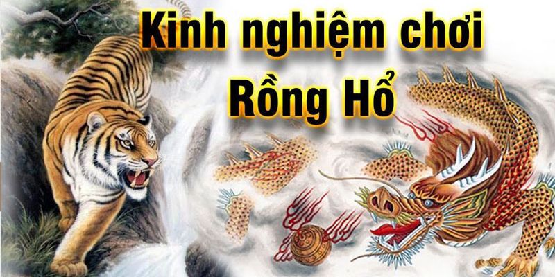 Cách chơi rồng hổ là gì để luôn giành chiến thắng