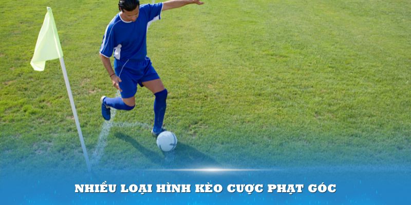 Có nhiều loại hình kèo cược phạt góc cho thành viên lựa chọn