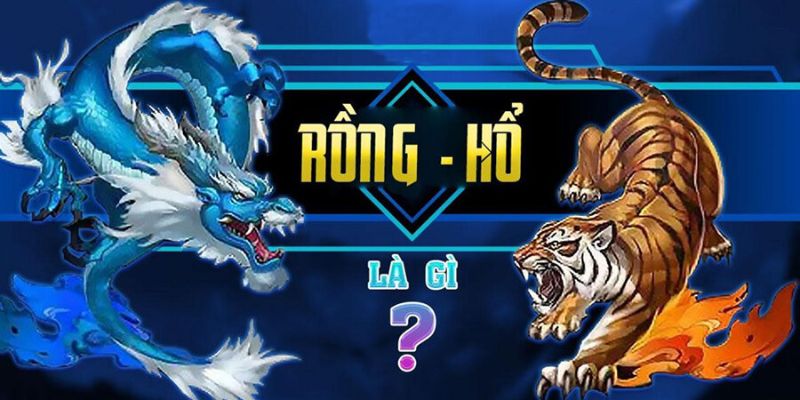 Game bài rồng hổ là gì mà lại thu hút mọi người đến vậy