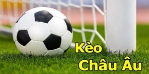 Kèo 1x2 - Kinh Nghiệm Chơi Hay Cho Người Mới Nhập Môn